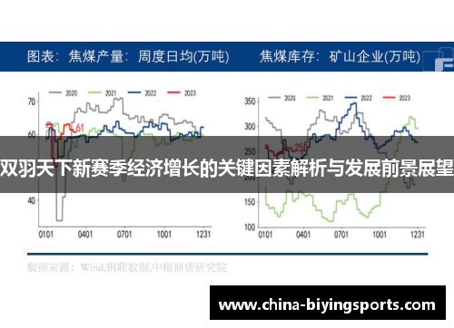 双羽天下新赛季经济增长的关键因素解析与发展前景展望