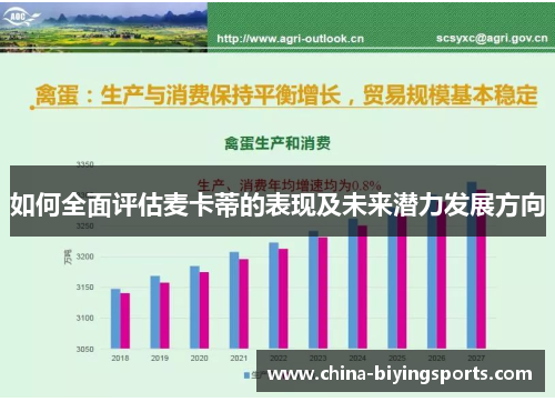 如何全面评估麦卡蒂的表现及未来潜力发展方向