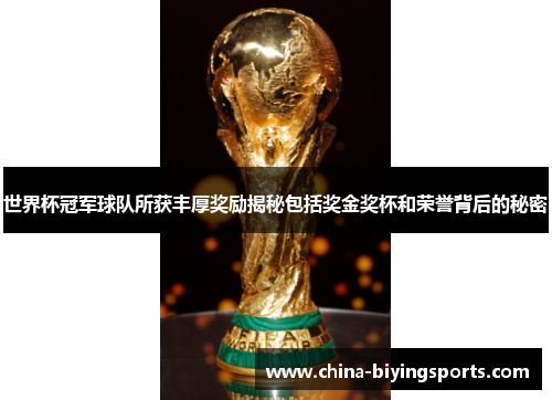 世界杯冠军球队所获丰厚奖励揭秘包括奖金奖杯和荣誉背后的秘密