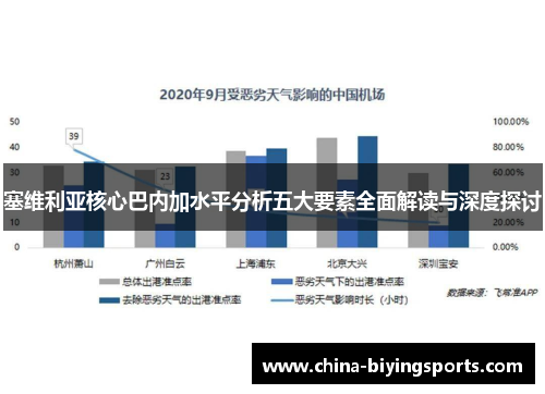 塞维利亚核心巴内加水平分析五大要素全面解读与深度探讨