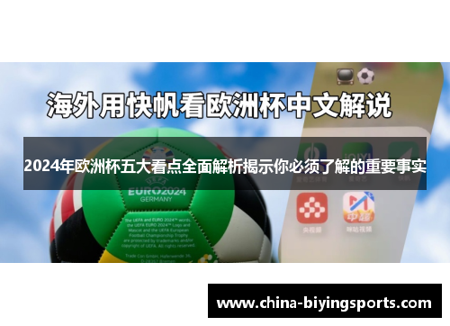 2024年欧洲杯五大看点全面解析揭示你必须了解的重要事实