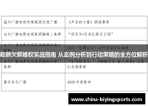 赵鹏欠薪维权实战指南 从案例分析到行动策略的全方位解析